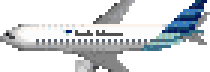 印度尼西亚鹰航空